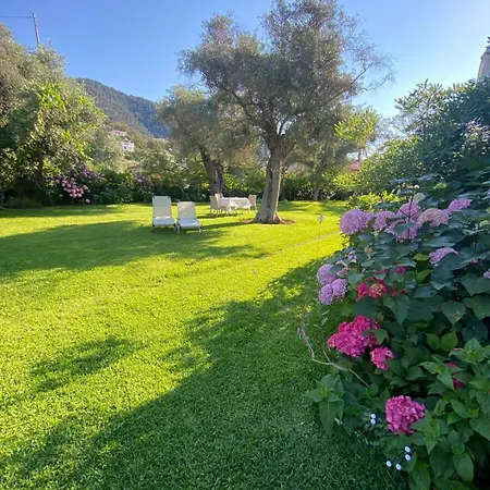 Olivia Хриси-Амудия